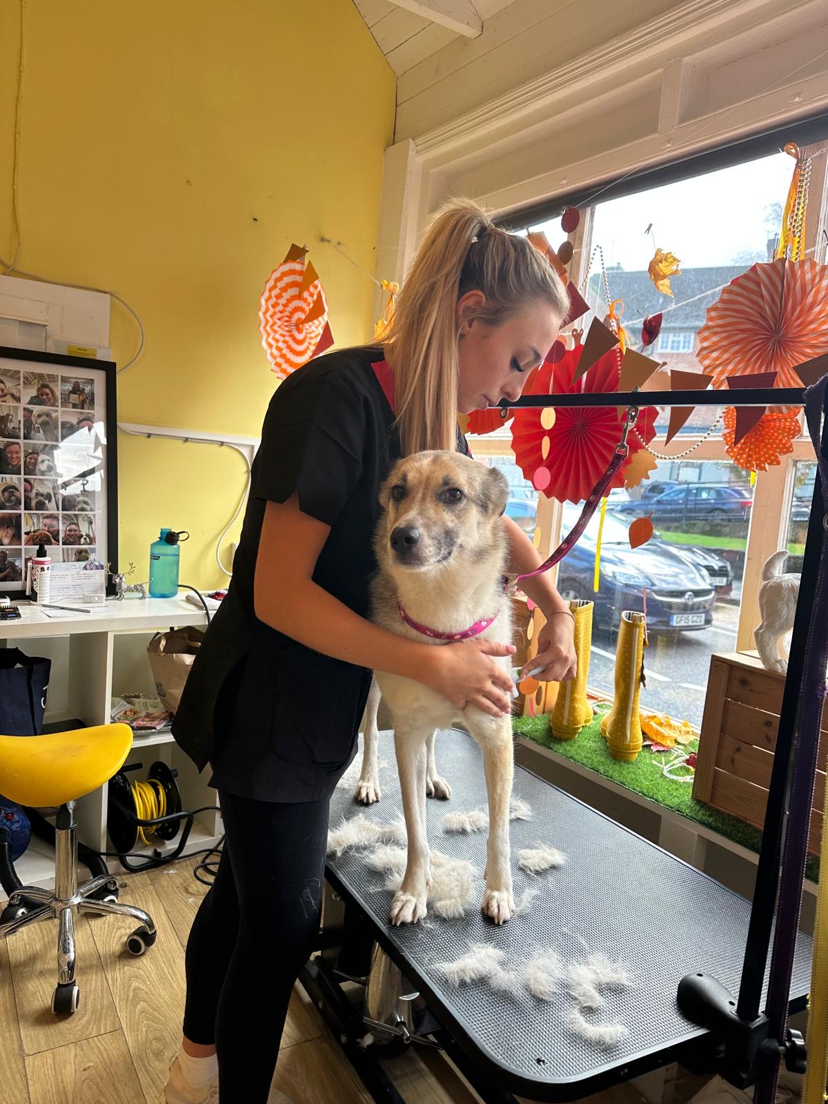 ca9cb926-11e1-4a08-8cfa-c7704ec5d0d1